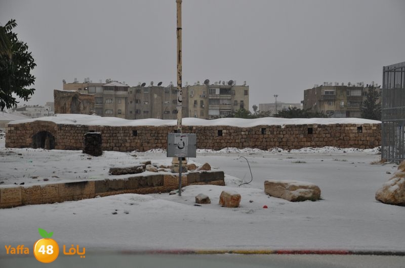 iceman lud 1213 (43).JPG